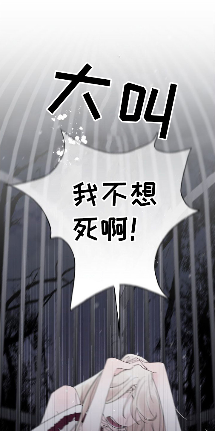 春与冬的边界漫画,第3章：白色巨狼11图