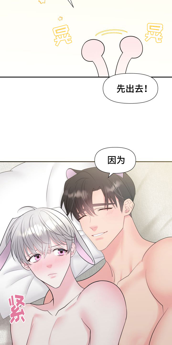 豹子爱上兔漫画,第7章：最后一次【完】12图