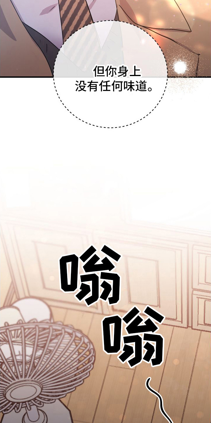 流星坠落漫画,第2章： 温和的微笑11图