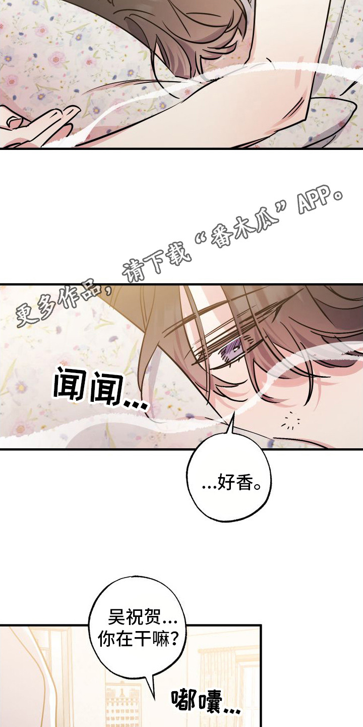 流星坠落漫画,第9章：变得贪心11图