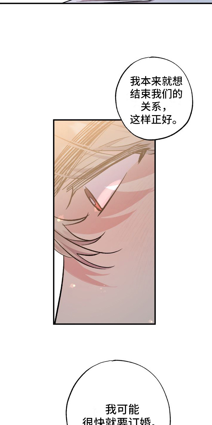 流星坠落漫画,第11章：结束关系9图